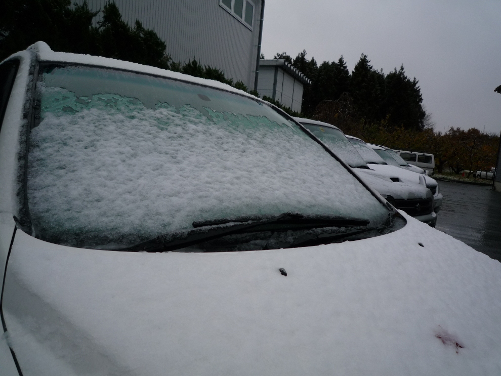 車に雪が積って来たヨ！
