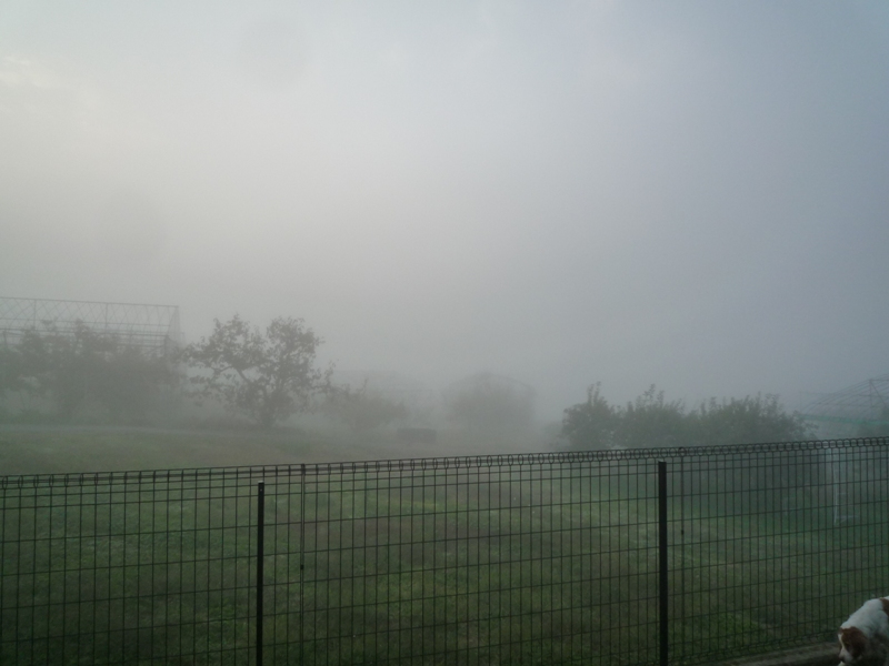 凄い霧です